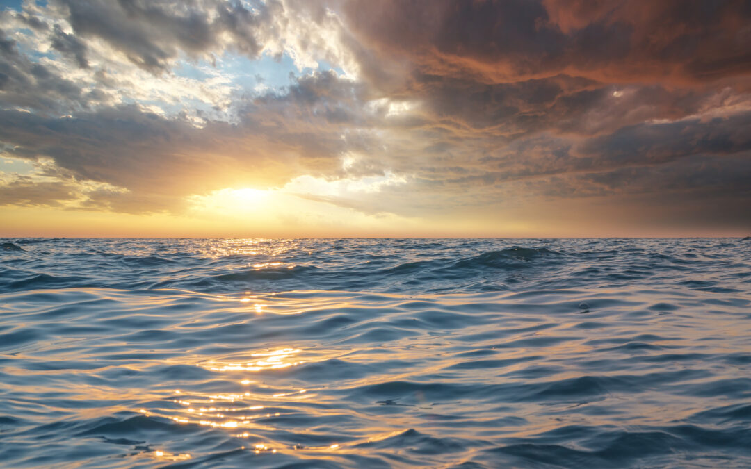 1 R1 Investigador/a predoctoral (Oceanografía Estuarios y Calidad del Agua) Nº CONV._FIHAC/09_2026