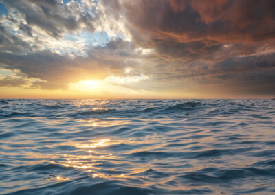 1 R1 Investigador/a predoctoral (Oceanografía Estuarios y Calidad del Agua) Nº CONV._FIHAC/09_2026